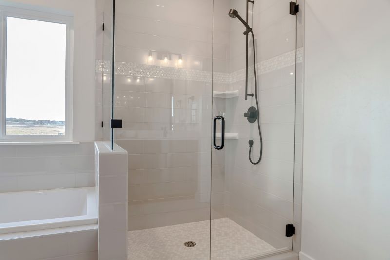Frameless Glass Shower Door